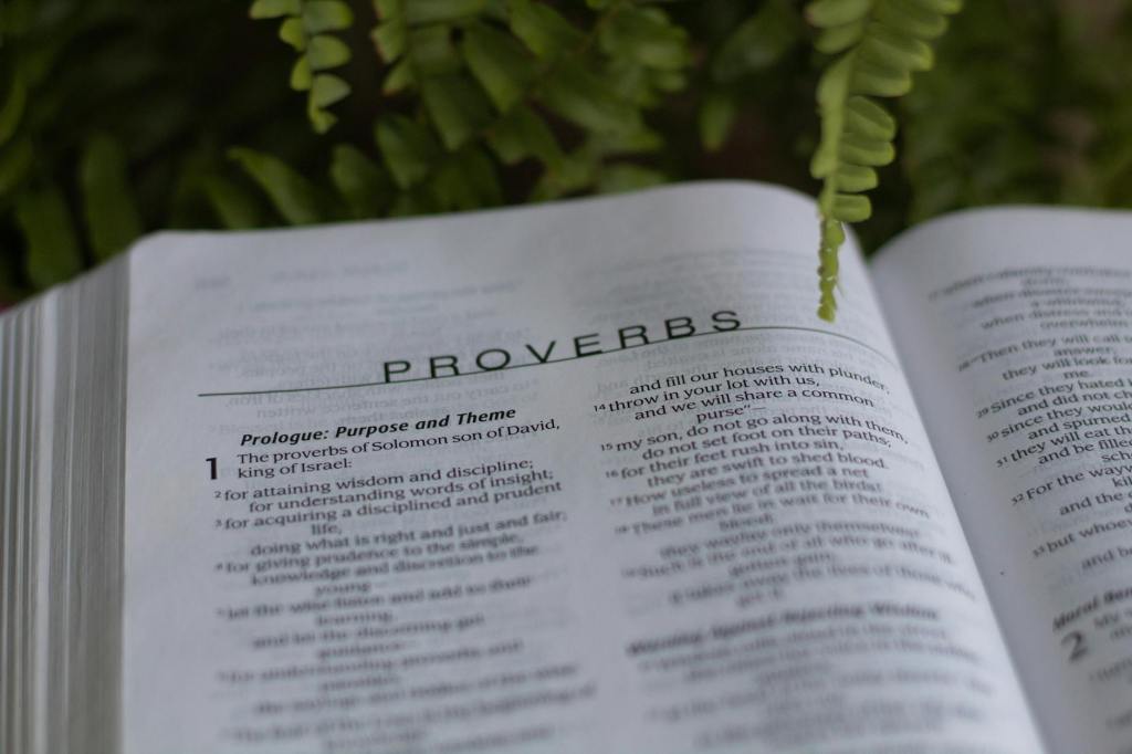 A Personal Journey Through&nbsp;Proverbs